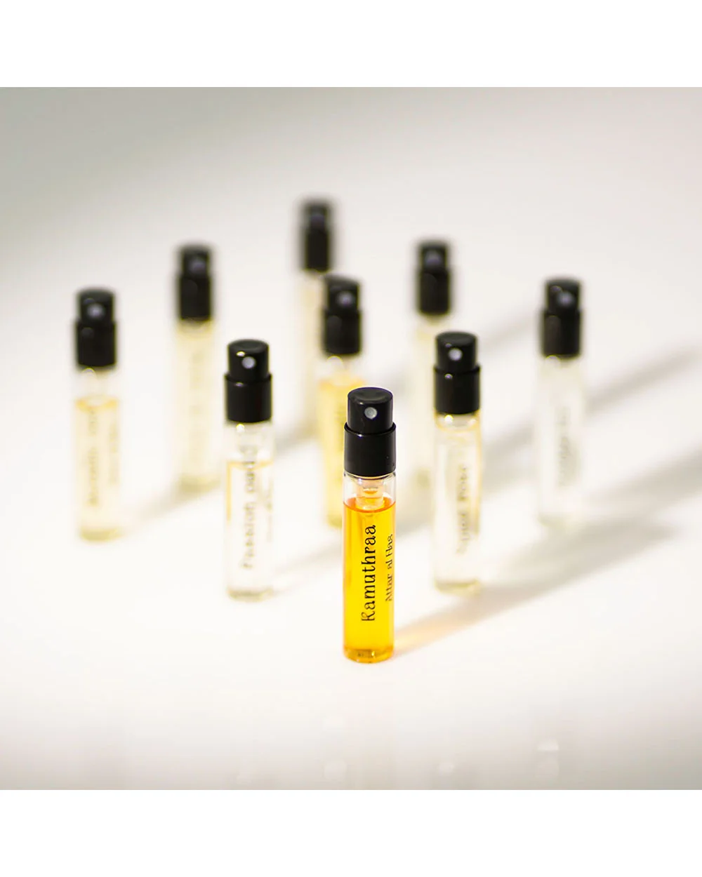 Discovery Set | Exclusive Collection - Image 2